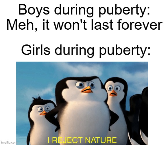 Boys during puberty: Meh, it won't last forever; Girls during puberty: | image tagged in penguins of madagascar,puberty,madagascar,madagascar penguin,biology | made w/ Imgflip meme maker