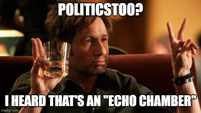 POLITICSTOO? I HEARD THAT'S AN "ECHO CHAMBER" | made w/ Imgflip meme maker