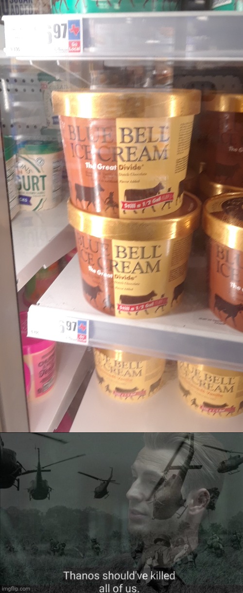 And now a word from Blue Bell Ice Cream: | image tagged in thanos should've killed all of us,racism,ice cream,flavor flav,i'm sorry,memes | made w/ Imgflip meme maker