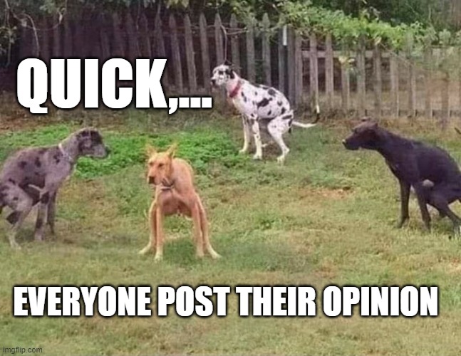 posting opinions | QUICK,... EVERYONE POST THEIR OPINION | image tagged in opinions,post reply,respond,replies,free speech | made w/ Imgflip meme maker