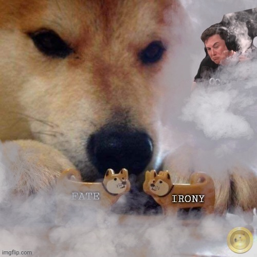 Fate loves Irony | image tagged in elon musk,doge,dogecoin,saturday night live,pupper,cryptocurrency | made w/ Imgflip meme maker