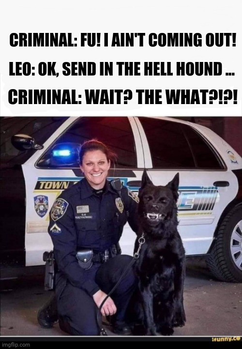 Dog | CRIMINAL: FU! I AIN'T COMING OUT! LEO: OK, SEND IN THE HELL HOUND ... CRIMINAL: WAIT? THE WHAT?!?! | image tagged in funny memes | made w/ Imgflip meme maker