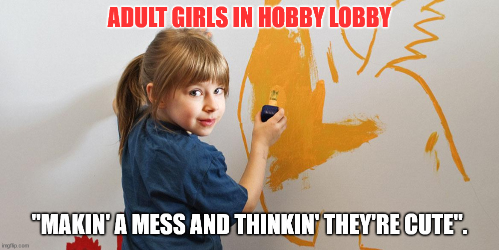 ADULT GIRLS IN HOBBY LOBBY; "MAKIN' A MESS AND THINKIN' THEY'RE CUTE". | image tagged in hobbylobby | made w/ Imgflip meme maker