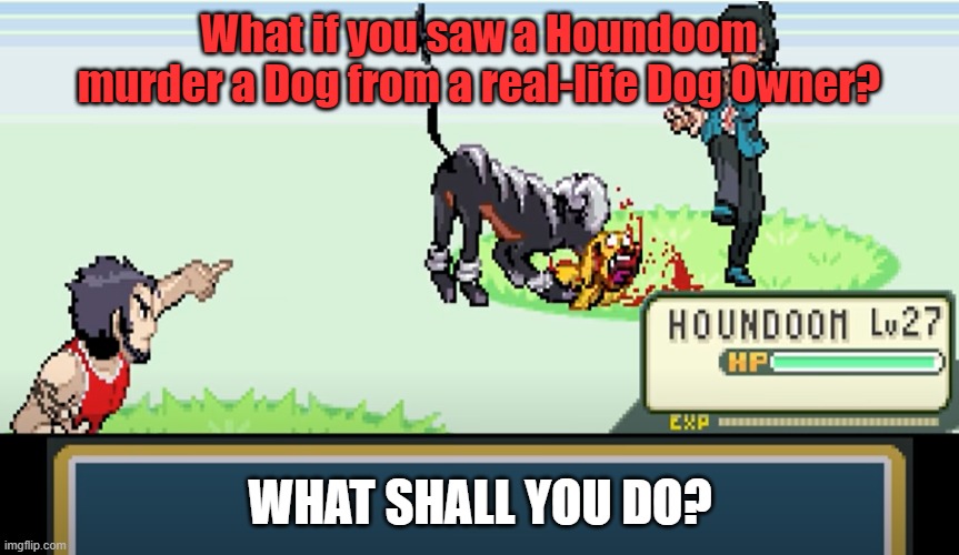 What if you meet a Trainer with Houndoom | What if you saw a Houndoom murder a Dog from a real-life Dog Owner? WHAT SHALL YOU DO? | image tagged in pokemon | made w/ Imgflip meme maker
