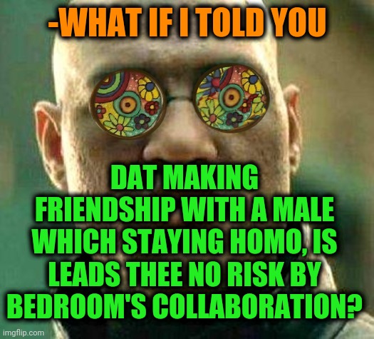 -Stay bravery! | -WHAT IF I TOLD YOU; DAT MAKING FRIENDSHIP WITH A MALE WHICH STAYING HOMO, IS LEADS THEE NO RISK BY BEDROOM'S COLLABORATION? | image tagged in acid kicks in morpheus,homophobic seal,friendship ended,bedroom,adult humor,reposting my own | made w/ Imgflip meme maker