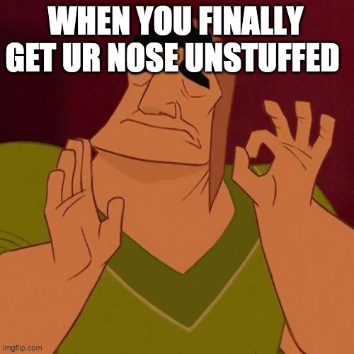 who can relate | WHEN YOU FINALLY GET UR NOSE UNSTUFFED | image tagged in when x just right | made w/ Imgflip meme maker