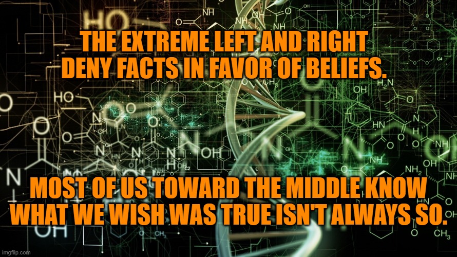 Staking Out The Sane Center. | THE EXTREME LEFT AND RIGHT DENY FACTS IN FAVOR OF BELIEFS. MOST OF US TOWARD THE MIDDLE KNOW WHAT WE WISH WAS TRUE ISN'T ALWAYS SO. | image tagged in politics | made w/ Imgflip meme maker