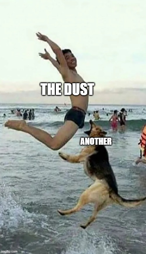 Dog bite dick |  THE DUST; ANOTHER | image tagged in memes | made w/ Imgflip meme maker