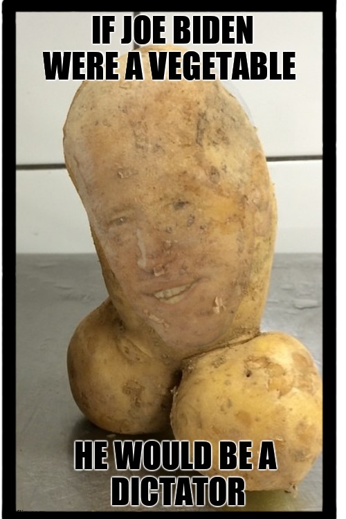 Mashed potato brains. | IF JOE BIDEN WERE A VEGETABLE; HE WOULD BE A 
   DICTATOR | image tagged in memes,creepy joe biden,mr potato head,potatoes,funny memes,political meme | made w/ Imgflip meme maker