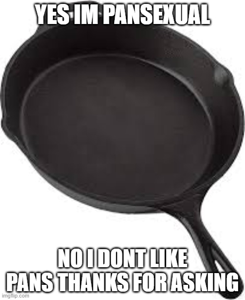 Pansexuals will understand | YES IM PANSEXUAL; NO I DONT LIKE PANS THANKS FOR ASKING | image tagged in pansexuals will understand | made w/ Imgflip meme maker