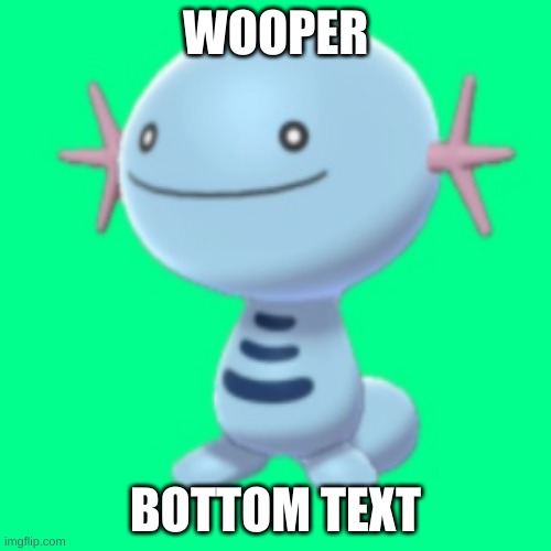 wooper | WOOPER; BOTTOM TEXT | image tagged in pokemon | made w/ Imgflip meme maker
