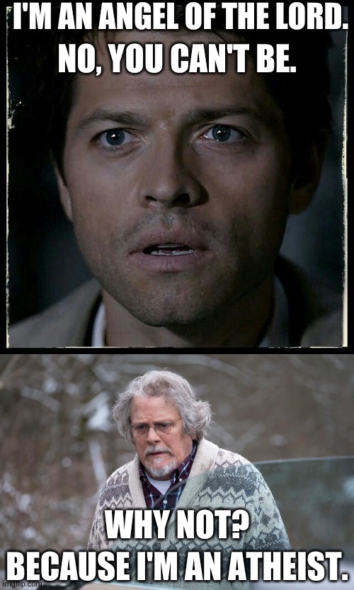 When Watching Supernatural As An Atheist |  I'M AN ANGEL OF THE LORD. NO, YOU CAN'T BE. WHY NOT? BECAUSE I'M AN ATHEIST. | image tagged in atheist,supernatural,castiel,angel,lord,donatello | made w/ Imgflip meme maker
