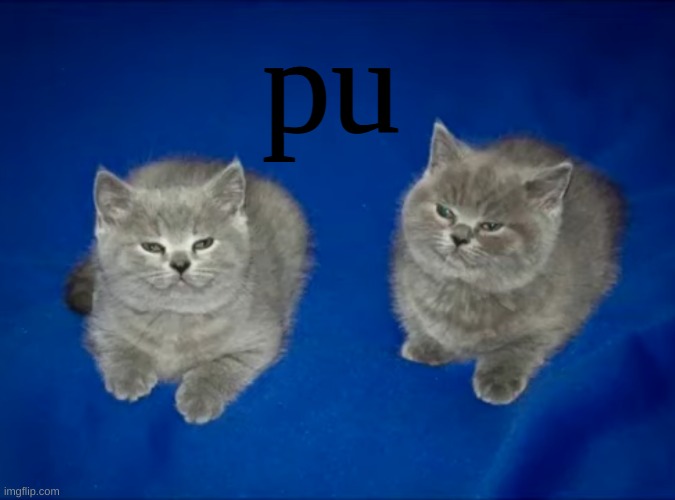 pu | pu | image tagged in pu | made w/ Imgflip meme maker