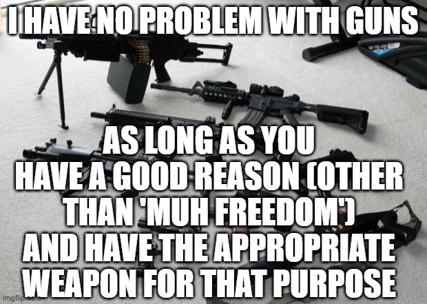 Let's see how many conservatives I can trigger by suggesting reasonable gun control | I HAVE NO PROBLEM WITH GUNS; AS LONG AS YOU HAVE A GOOD REASON (OTHER THAN 'MUH FREEDOM') AND HAVE THE APPROPRIATE WEAPON FOR THAT PURPOSE | image tagged in guns | made w/ Imgflip meme maker
