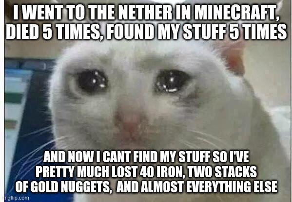 just a vent | I WENT TO THE NETHER IN MINECRAFT, DIED 5 TIMES, FOUND MY STUFF 5 TIMES; AND NOW I CANT FIND MY STUFF SO I'VE PRETTY MUCH LOST 40 IRON, TWO STACKS OF GOLD NUGGETS,  AND ALMOST EVERYTHING ELSE | image tagged in crying cat | made w/ Imgflip meme maker