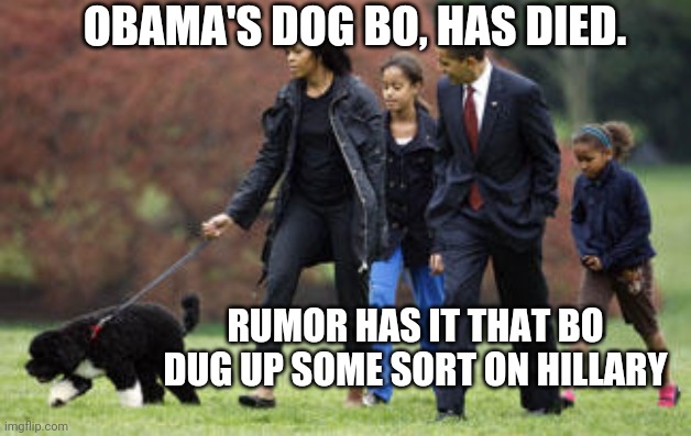 Obama Bo | OBAMA'S DOG BO, HAS DIED. RUMOR HAS IT THAT BO DUG UP SOME SORT ON HILLARY | image tagged in hillary clinton,obama | made w/ Imgflip meme maker