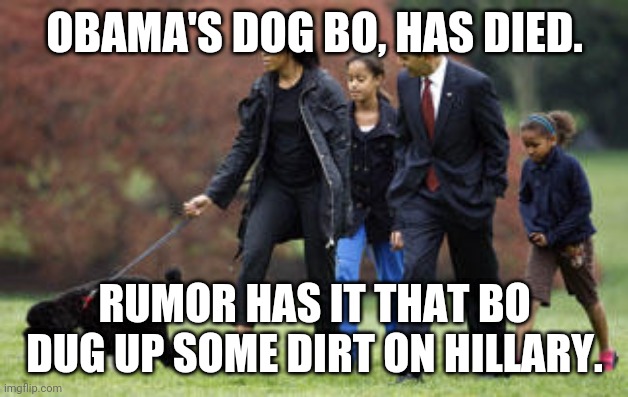 Obama's Bo | OBAMA'S DOG BO, HAS DIED. RUMOR HAS IT THAT BO DUG UP SOME DIRT ON HILLARY. | image tagged in hillary clinton,obama | made w/ Imgflip meme maker