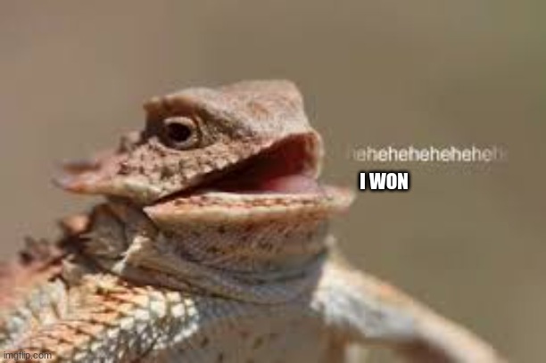 heheheheh dragon | I WON | image tagged in heheheheh dragon | made w/ Imgflip meme maker