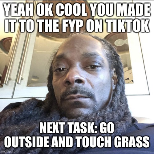 didnt ask | YEAH OK COOL YOU MADE IT TO THE FYP ON TIKTOK; NEXT TASK: GO OUTSIDE AND TOUCH GRASS | image tagged in i actually dont care,youre gay,lol | made w/ Imgflip meme maker
