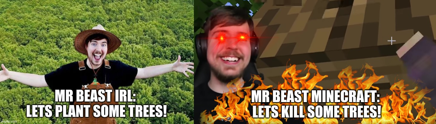 MR BEAST IRL: 
LETS PLANT SOME TREES! MR BEAST MINECRAFT: 
LETS KILL SOME TREES! | image tagged in mr beast | made w/ Imgflip meme maker