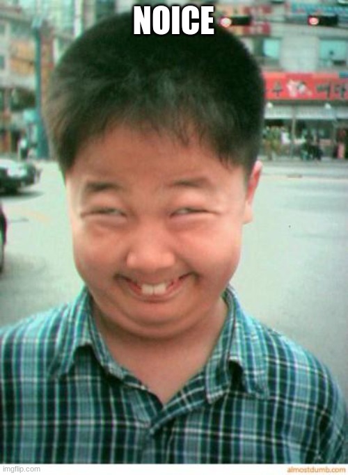 funny asian face | NOICE | image tagged in funny asian face,idk | made w/ Imgflip meme maker