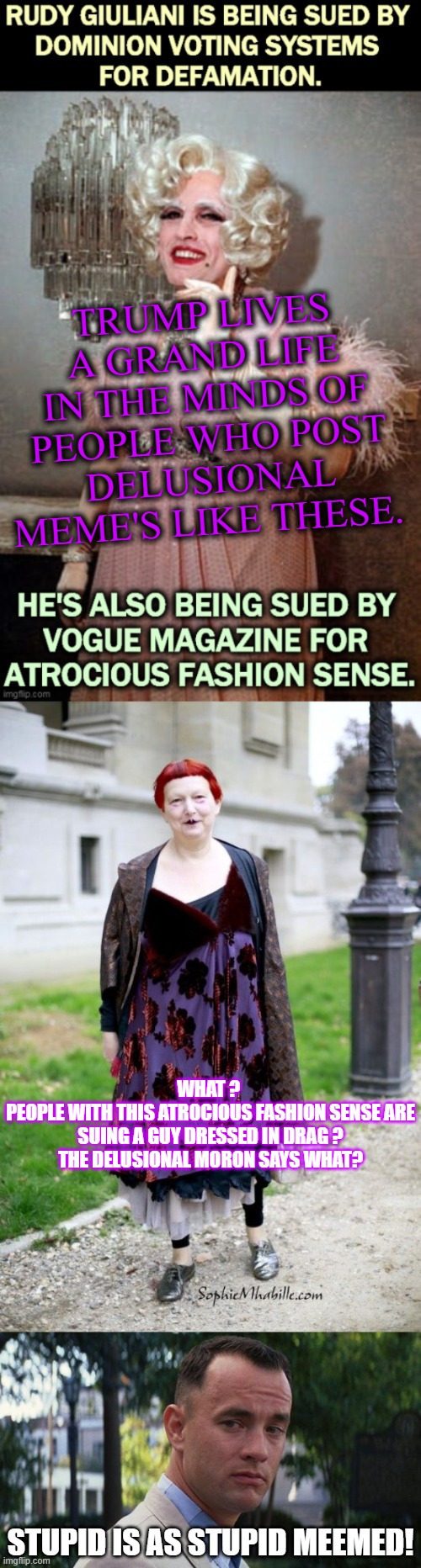 Remember to use the down vote on those who disallow comments. | TRUMP LIVES A GRAND LIFE IN THE MINDS OF PEOPLE WHO POST DELUSIONAL MEME'S LIKE THESE. WHAT ? 
PEOPLE WITH THIS ATROCIOUS FASHION SENSE ARE SUING A GUY DRESSED IN DRAG ?
THE DELUSIONAL MORON SAYS WHAT? STUPID IS AS STUPID MEEMED! | image tagged in lynn yaeger vogue,forrest gump | made w/ Imgflip meme maker