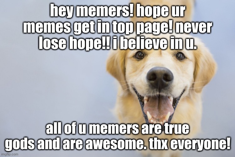 Hope u havin good day!!!! | hey memers! hope ur memes get in top page! never lose hope!! i believe in u. all of u memers are true gods and are awesome. thx everyone! | image tagged in cute dog | made w/ Imgflip meme maker