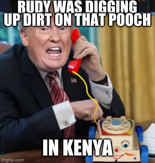 did rumpt actually make an announcement about his cat? since when is rumpt a cat person? | RUDY WAS DIGGING UP DIRT ON THAT POOCH IN KENYA | image tagged in i'm the president,ugh,cat | made w/ Imgflip meme maker