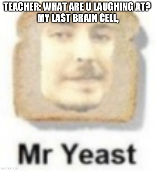 mr yeast is pog | TEACHER: WHAT ARE U LAUGHING AT? 
MY LAST BRAIN CELL, | image tagged in mr beast,youtube,memes | made w/ Imgflip meme maker