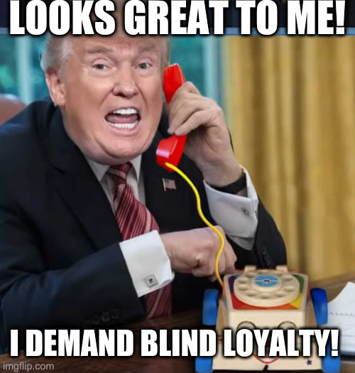 I'm the president | LOOKS GREAT TO ME! I DEMAND BLIND LOYALTY! | image tagged in i'm the president | made w/ Imgflip meme maker