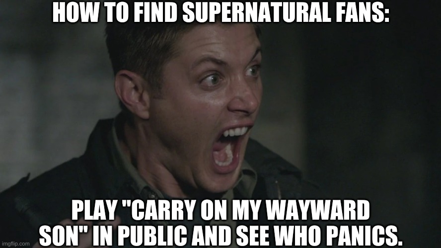 Finding Supernatural Fans | HOW TO FIND SUPERNATURAL FANS:; PLAY "CARRY ON MY WAYWARD SON" IN PUBLIC AND SEE WHO PANICS. | image tagged in supernatural,fans,carry on my wayward son | made w/ Imgflip meme maker