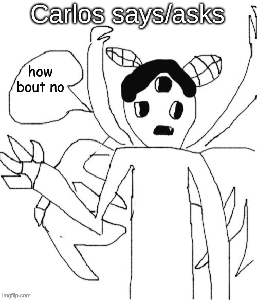 Carlos asks/says | how bout no | image tagged in carlos asks/says | made w/ Imgflip meme maker