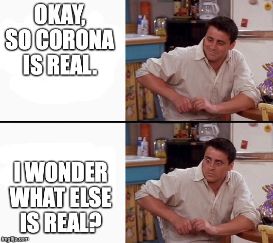 Comprehending Joey | OKAY, SO CORONA IS REAL. I WONDER WHAT ELSE IS REAL? | image tagged in comprehending joey | made w/ Imgflip meme maker