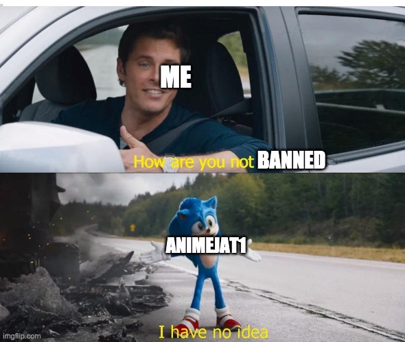 sonic how are you not dead | BANNED ME ANIMEJAT1 | image tagged in sonic how are you not dead | made w/ Imgflip meme maker