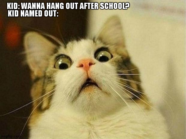 Hmm |  KID: WANNA HANG OUT AFTER SCHOOL? KID NAMED OUT: | image tagged in memes,scared cat | made w/ Imgflip meme maker