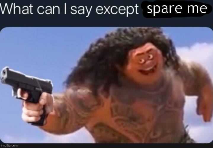 What can I say except delete this | spare me | image tagged in what can i say except delete this | made w/ Imgflip meme maker
