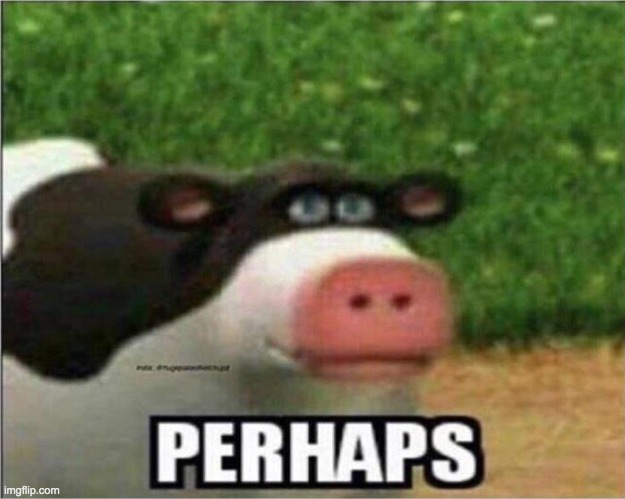 Perhaps Cow | image tagged in perhaps cow | made w/ Imgflip meme maker