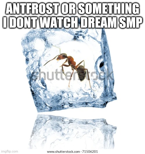 Minecraft | ANTFROST OR SOMETHING I DONT WATCH DREAM SMP | image tagged in dream smp,antfrost | made w/ Imgflip meme maker