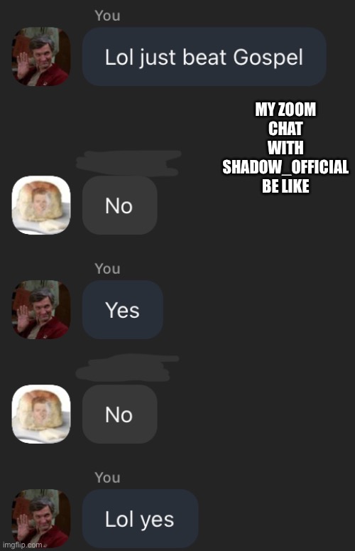 MY ZOOM CHAT WITH SHADOW_OFFICIAL BE LIKE | made w/ Imgflip meme maker