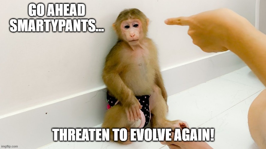Public Schooled Monkey | image tagged in flat earth,flat earthers,flatearth,no globe,nasa hoax,fakespace | made w/ Imgflip meme maker