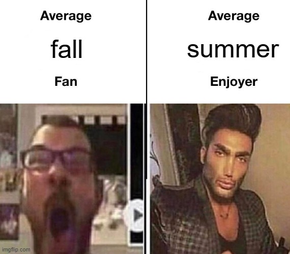 Take one look at a water park and try to pretend summer isn't objectively the best season |  summer; fall | image tagged in average fan vs average enjoyer,seasons,summer,i want an ice cream | made w/ Imgflip meme maker