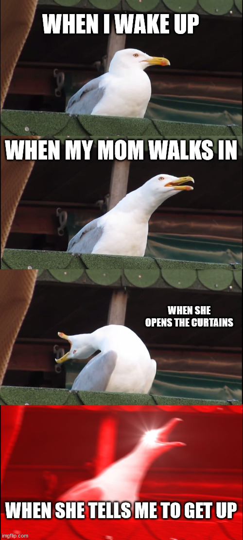 Inhaling Seagull | WHEN I WAKE UP; WHEN MY MOM WALKS IN; WHEN SHE OPENS THE CURTAINS; WHEN SHE TELLS ME TO GET UP | image tagged in memes,inhaling seagull | made w/ Imgflip meme maker