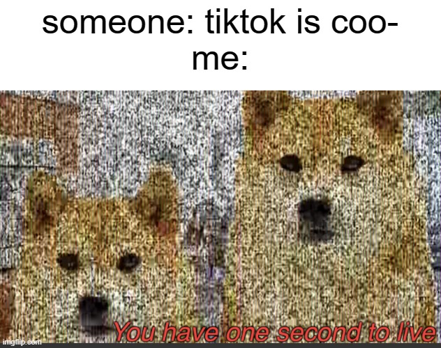 tik tokkers dont go to heaven | someone: tiktok is coo-
me: | image tagged in you have one second to live | made w/ Imgflip meme maker