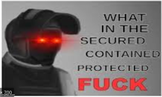 what in the secured contained f | image tagged in what in the secured contained f | made w/ Imgflip meme maker