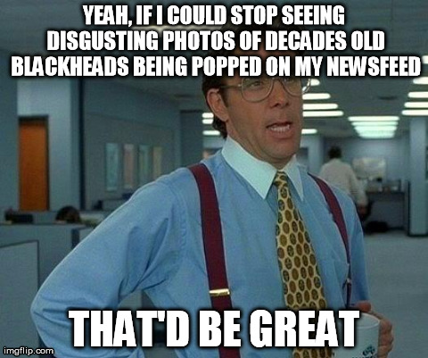That Would Be Great Meme | YEAH, IF I COULD STOP SEEING DISGUSTING PHOTOS OF DECADES OLD BLACKHEADS BEING POPPED ON MY NEWSFEED THAT'D BE GREAT | image tagged in memes,that would be great | made w/ Imgflip meme maker
