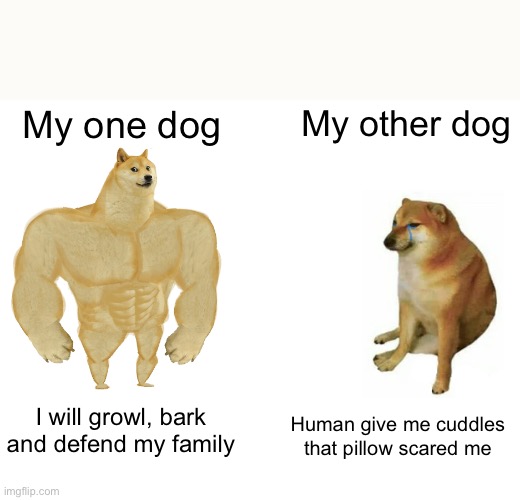 I love them both just as much as the other don’t worry | My one dog; My other dog; I will growl, bark and defend my family; Human give me cuddles that pillow scared me | image tagged in memes,buff doge vs cheems,dogs,dog,dog memes,vs | made w/ Imgflip meme maker