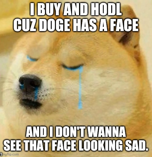 sad doge | I BUY AND HODL CUZ DOGE HAS A FACE; AND I DON'T WANNA SEE THAT FACE LOOKING SAD. | image tagged in sad doge,dogecoin | made w/ Imgflip meme maker