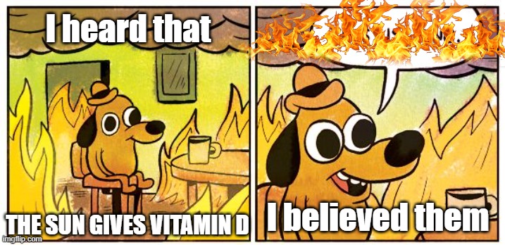I'll be healthy in no time! | I heard that; I believed them; THE SUN GIVES VITAMIN D | image tagged in memes,this is fine | made w/ Imgflip meme maker