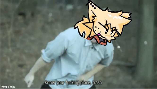 Know your place trash | image tagged in know your place trash | made w/ Imgflip meme maker