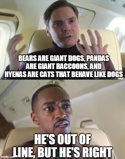 When you thought you knew a Carnivora... |  BEARS ARE GIANT DOGS, PANDAS ARE GIANT RACCOONS, AND HYENAS ARE CATS THAT BEHAVE LIKE DOGS; HE'S OUT OF LINE, BUT HE'S RIGHT | image tagged in out of line but he's right | made w/ Imgflip meme maker